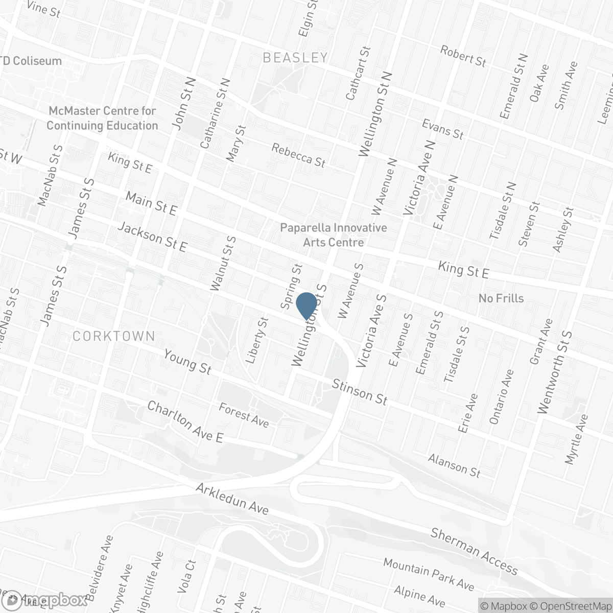 66 WELLINGTON STREET S, Hamilton, Ontario L8N 2R1